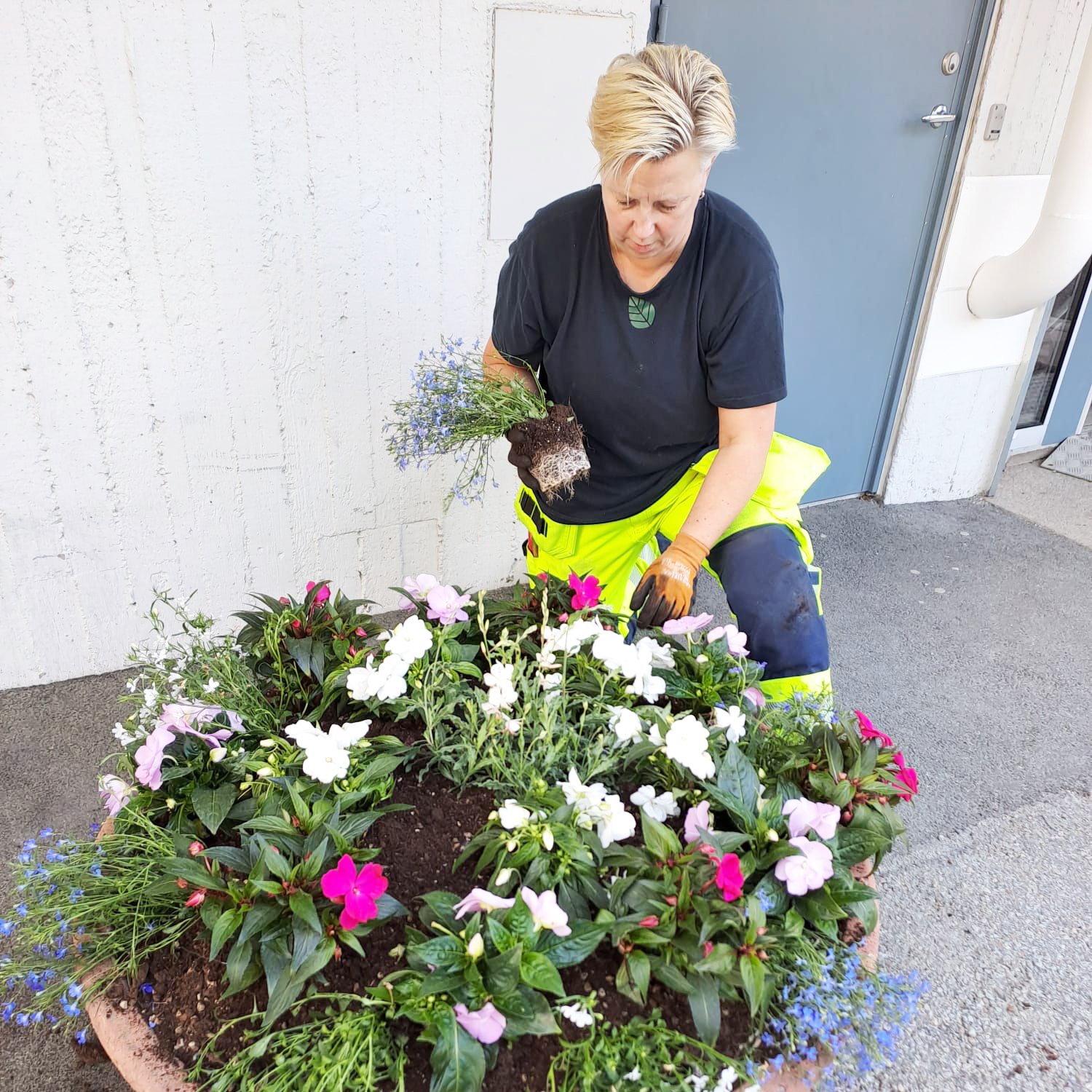 Arbetsledare inom hållbar grönyteförvaltning planterar blommor i en stor utomhuskruka, klädd i svart tröja och gula byxor.