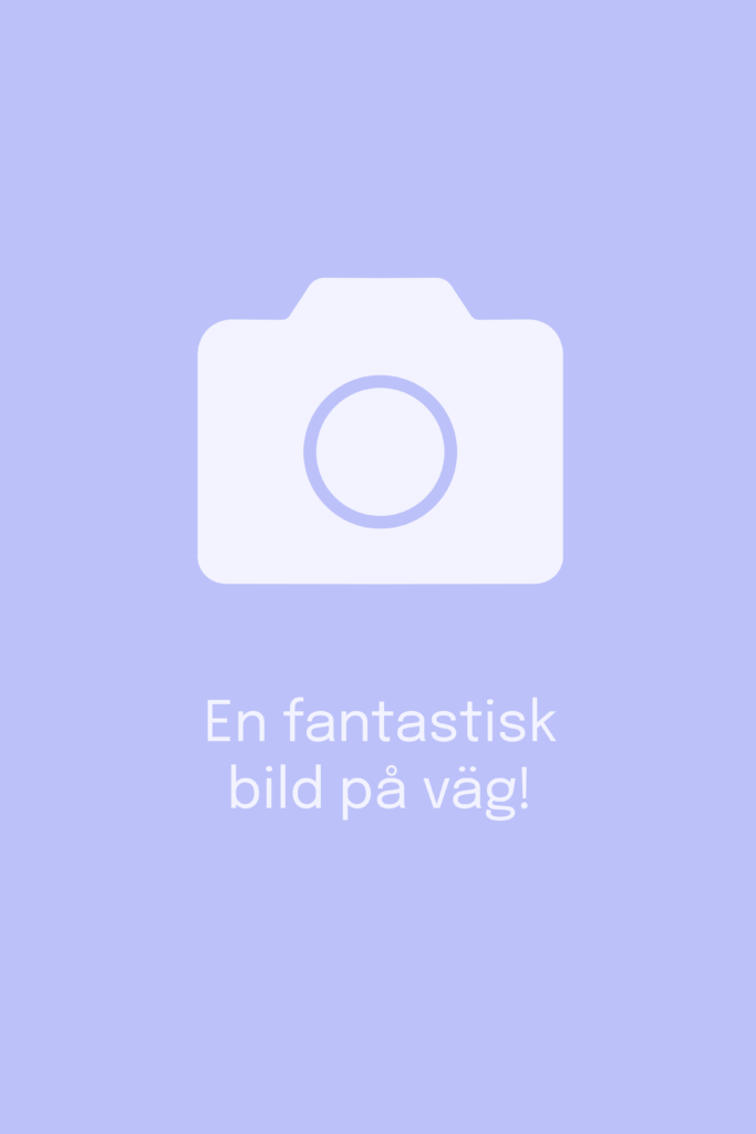 Platshållarbild med en kameraikon och svensk text 