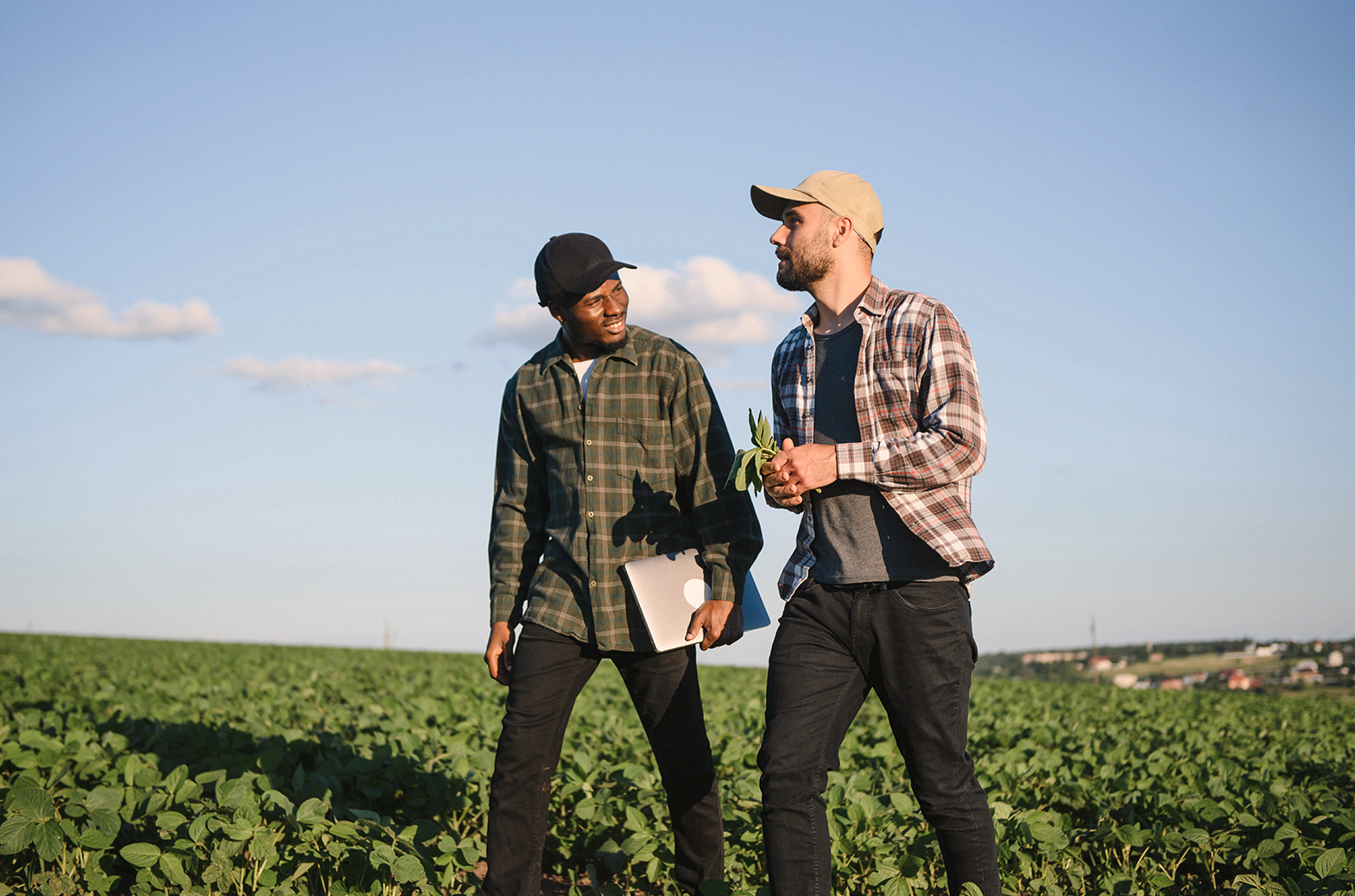 Två män i rutiga skjortor diskuterar hållbar affärsutveckling inom gårdsförsäljning när de står på ett grönt fält under en klarblå himmel.
