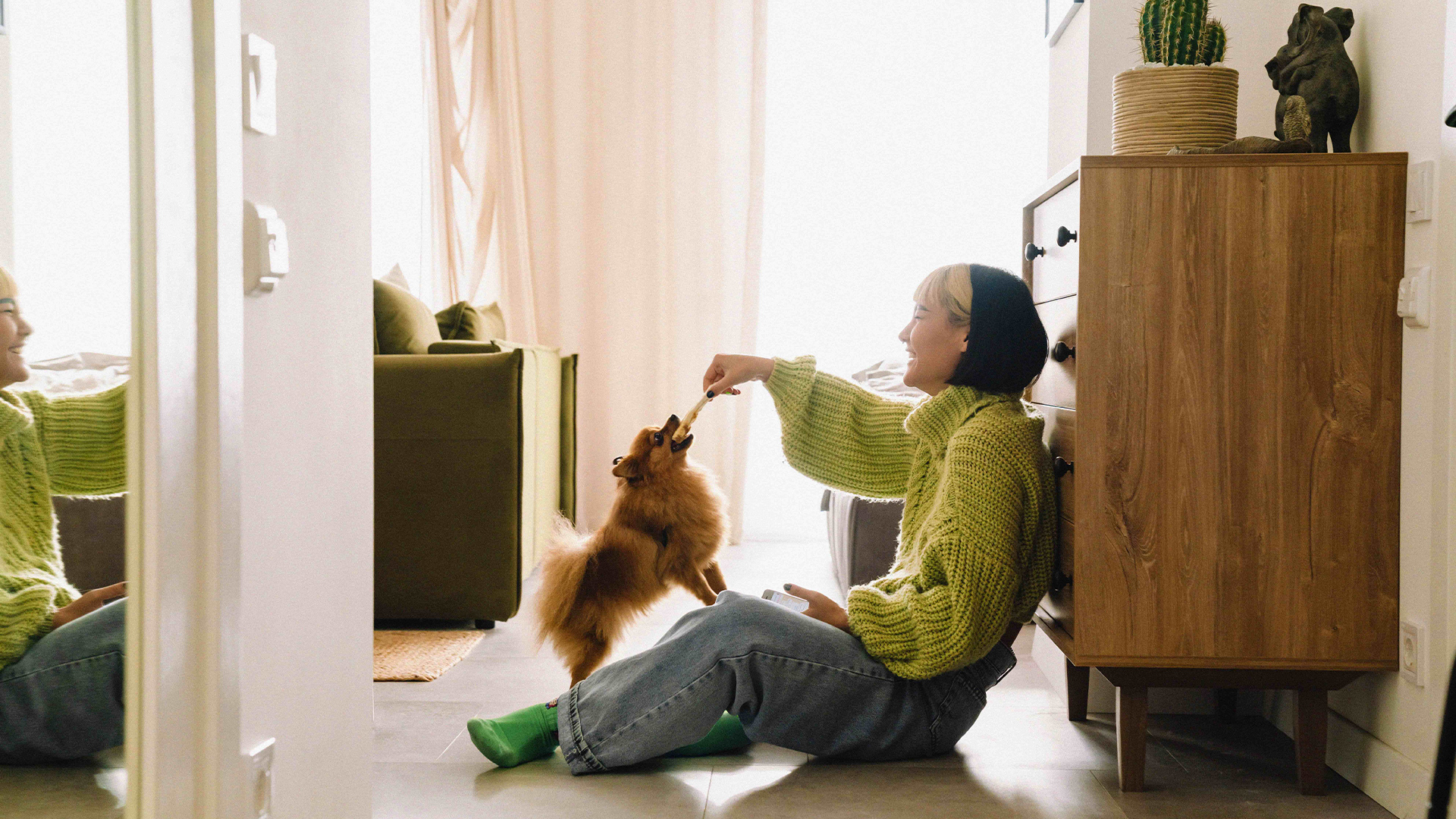 Person i grön tröja sitter på golvet och leker med en liten brun hund i ett mysigt vardagsrum och kopplar av efter en dag på YH Akademin.