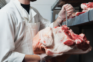 Slaktare i vit rock och handskar hanterar en stor bit rått kött i ett kylrum, demonstrerar god hygien och hantering av viltkött.